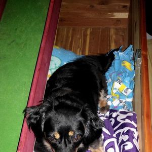 Meet your Posher, Katelyn